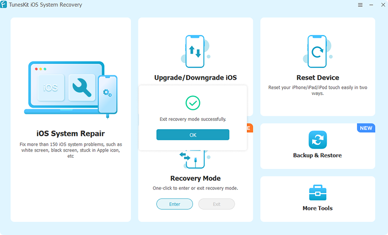 exit recovery mode
