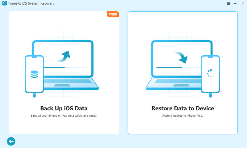 restore data to device