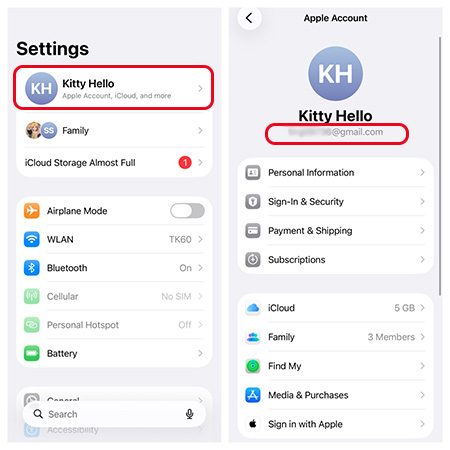 apple account information iphone