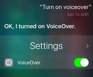 ask siri to turn on voiceover