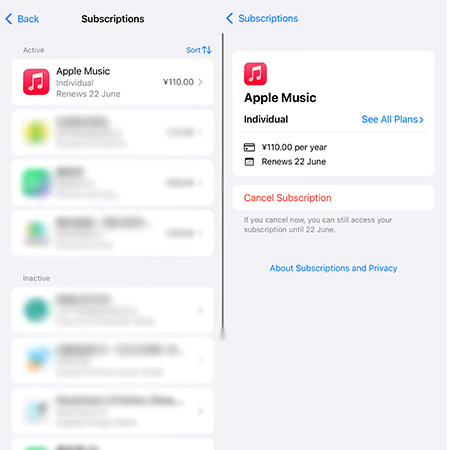 cancel subscription iphone