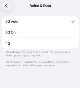 cellular voice and data option