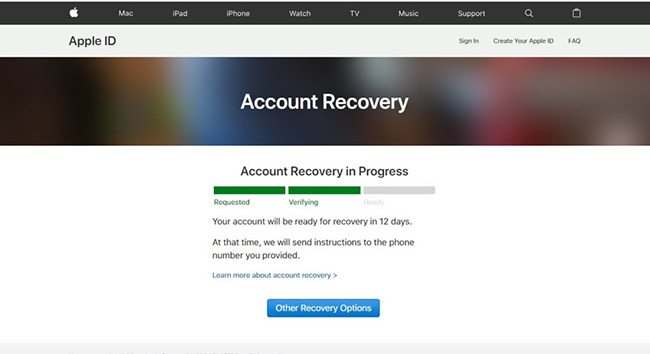 check apple account recovery status