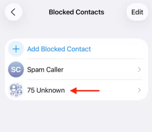 check blocked contacts on iphone