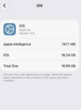 check ios storage size