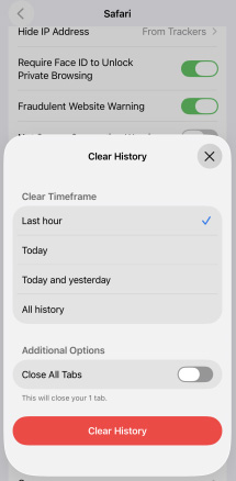 clear safari browser history