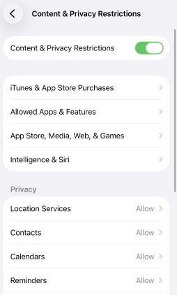 content and privacy restrictions