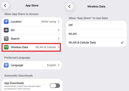 enable app store to access wireless data