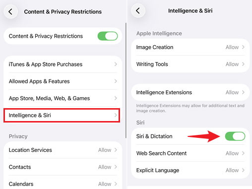 enable siri and dictation