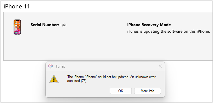 error 75 iTunes
