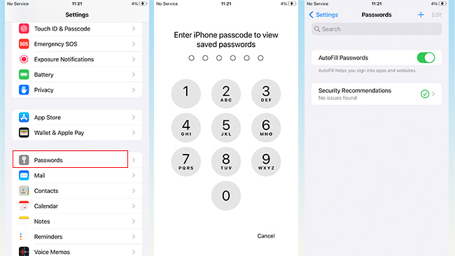 find app passwords in settings ios 17