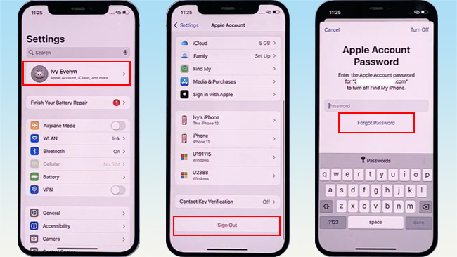 reset apple account password via forgot password