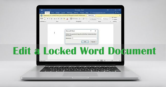 how to edit a locked word document