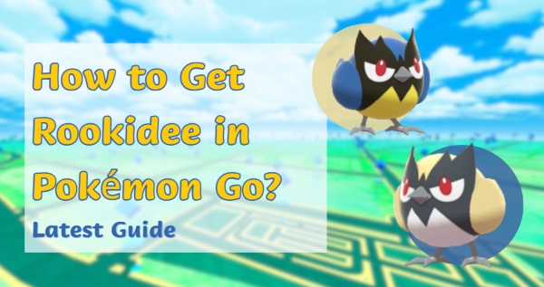 thumbnail image 2 of Pokémon GO Trade Offer: 15x Rookidee – Digital Trading Cards Ready To Trade! 2 of 5
