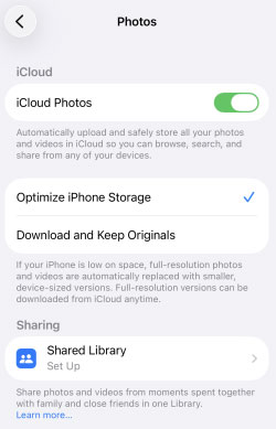 disable and enable the icloud photo ibrary