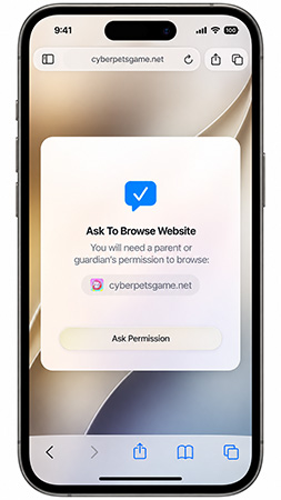 ios 27 ask website permission