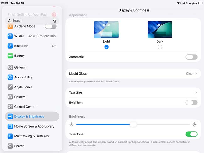 ipad adjust brightness