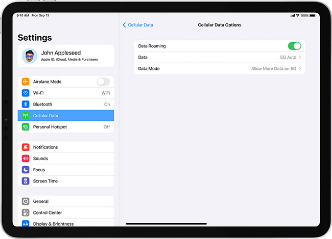 check ipad cellular data