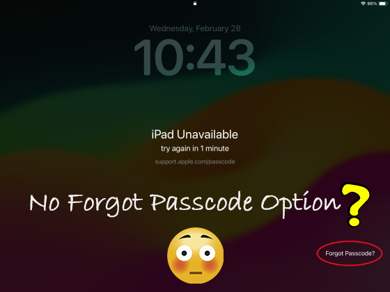 ipad unavailable no forgot passcode option