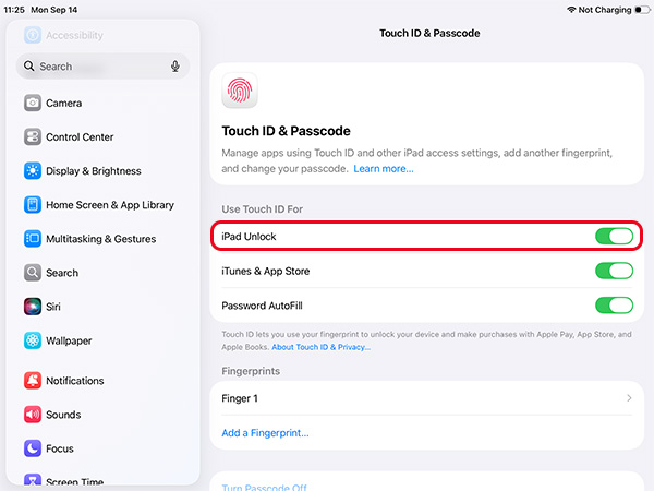 ipad use touch id unlock