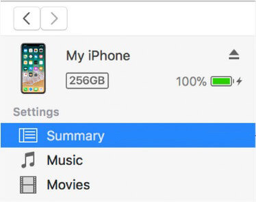 itunes summary tab