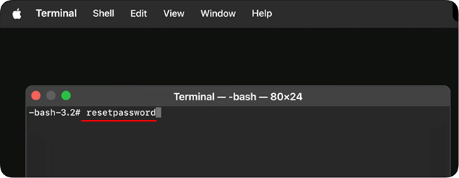 mac terminal resetpassword