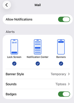 mail notifications settings