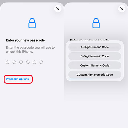 passcode options