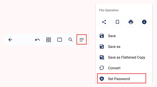 password protect pdf reader pro