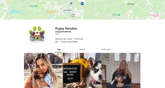 puppy paradise instagram cute location