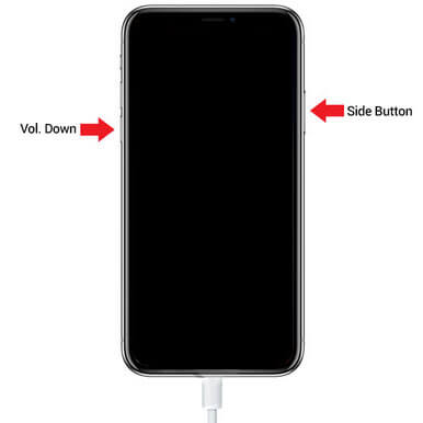 put iphone 7 into recovery mode