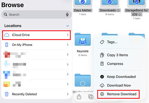 remove downloaded files