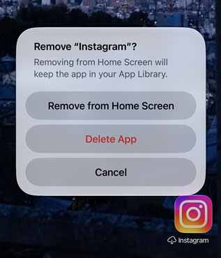 remove instagram