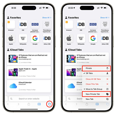 safari new private tab