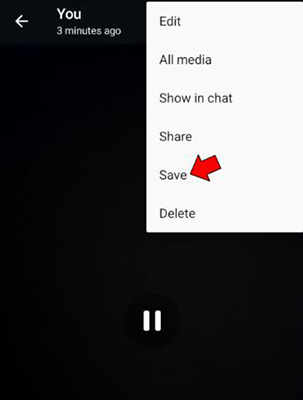 save whatsapp video