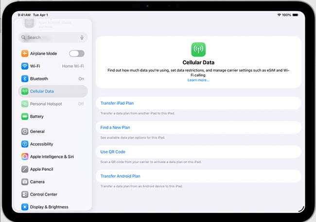 set ipad cellular data