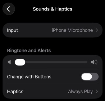 sounds and haptics settings