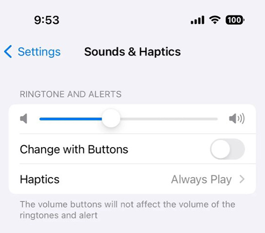 check sounds and haptics settings