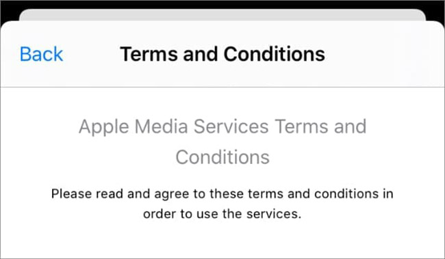 terms and conditions