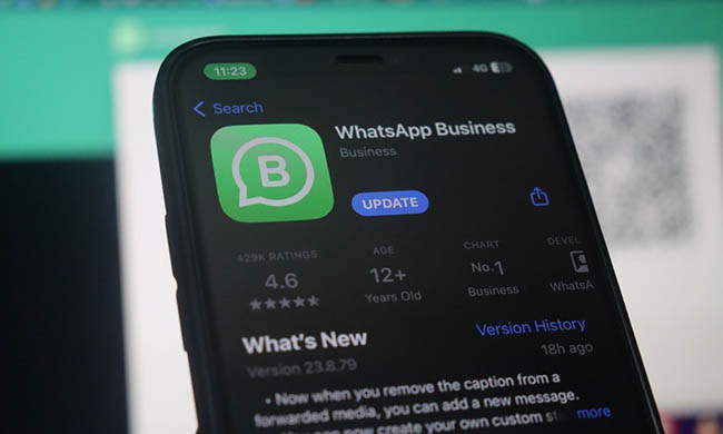 update whatsapp business