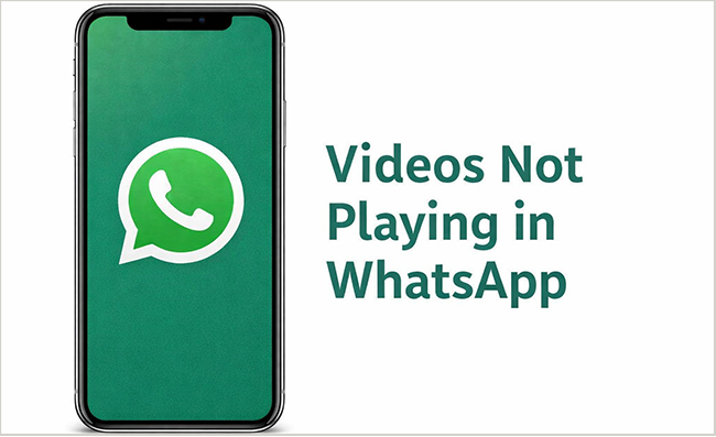 video not playing in whatsapp