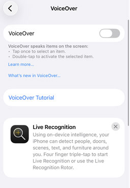 disable voiceover