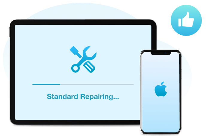 standard repair