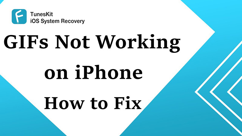 Iphone Gifs Not Working